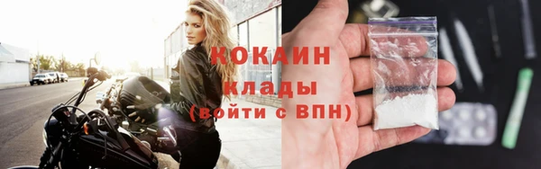 прущие грибы Аксай