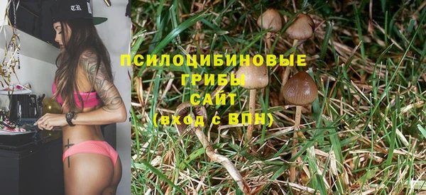 гидра Нягань
