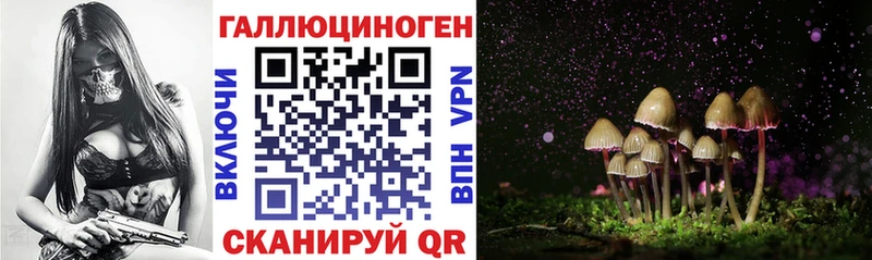 Галлюциногенные грибы Cubensis  omg зеркало  Барнаул 