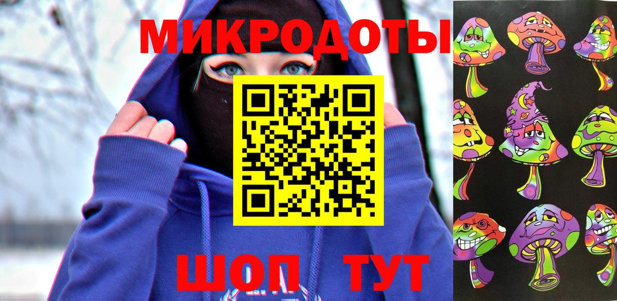 Галлюциногенные грибы Psilocybe Барнаул