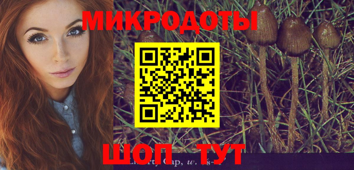 Псилоцибиновые грибы мухоморы Барнаул