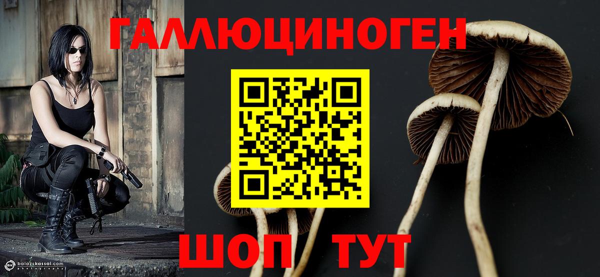 Барнаул  Галлюциногенные грибы GOLDEN TEACHER  где купить наркотик  Вход с VPN 