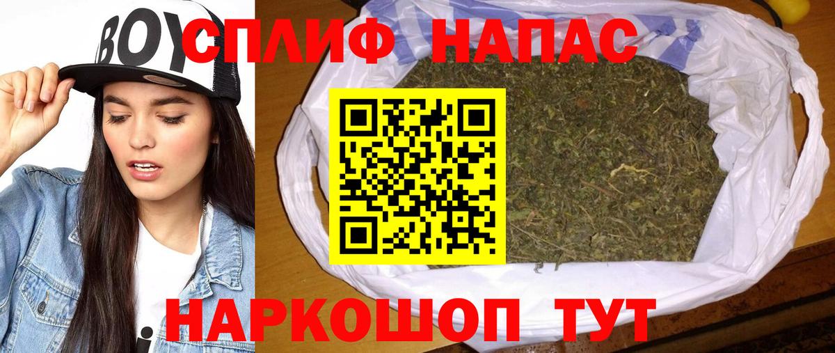 Меф Барнаул